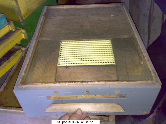 ME redus? - colectorul, vedere din fatza - INTRETINEREA ALBINELOR