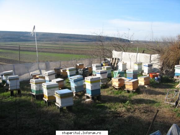Materiale impachetare stup - Ion Marian - INTRETINEREA ALBINELOR