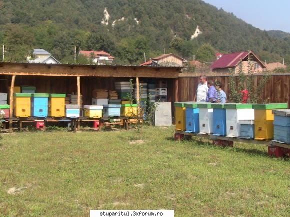 Materiale impachetare stup - sorinmob - INTRETINEREA ALBINELOR