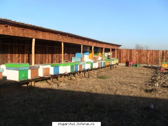 Materiale impachetare stup - sorinmob - INTRETINEREA ALBINELOR