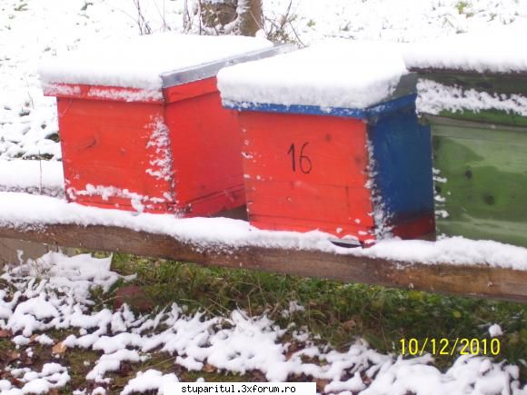 Materiale impachetare stup - cristesorin - INTRETINEREA ALBINELOR