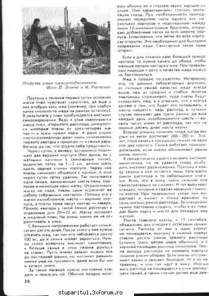 Metoda Volohovici- adica kg miere/ familia iernata - apimeda - INTRETINEREA ALBINELOR