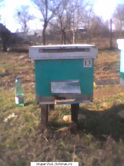 Mica mea stupina - gmih - POZE