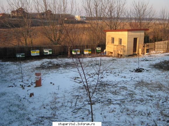 "Microbul" albinaritului - A-nceput de ieri să cadă C�te-un - PAGINI PERSONALE ! CINE SUNT EU ?
