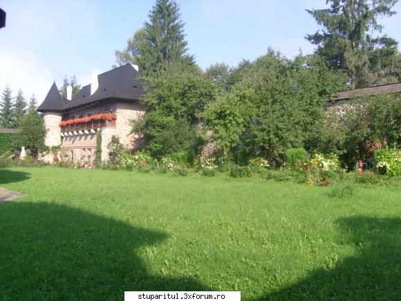 Moldova - locuri, oameni, mentalitati - nicus - BATTLEFIELD - CAMP DE LUPTA