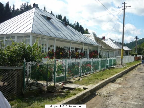 Moldova - locuri, oameni, mentalitati - chiliile maicutelor - BATTLEFIELD - CAMP DE LUPTA
