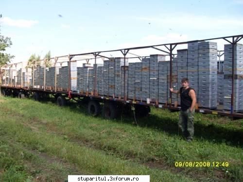 Multietajat redus? - Va salut domnule Mihai. Spunetzi asta din proprie - INTRETINEREA ALBINELOR