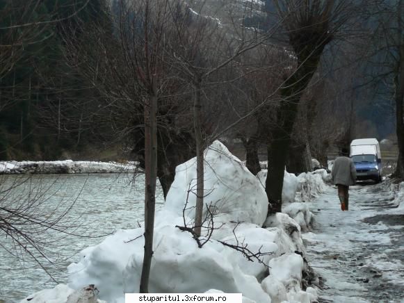 Nameti - Pe aici nu se trece - DISCUTII APICOLE DIVERSE