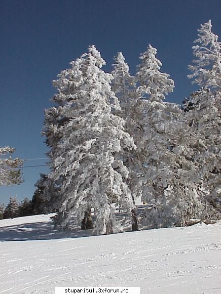 Ninge si la Iasi de 2-3 ore. - Zapada in California este ceva bizar pt cei - CAFENEA - DISCUTII DESPRE ORICE
