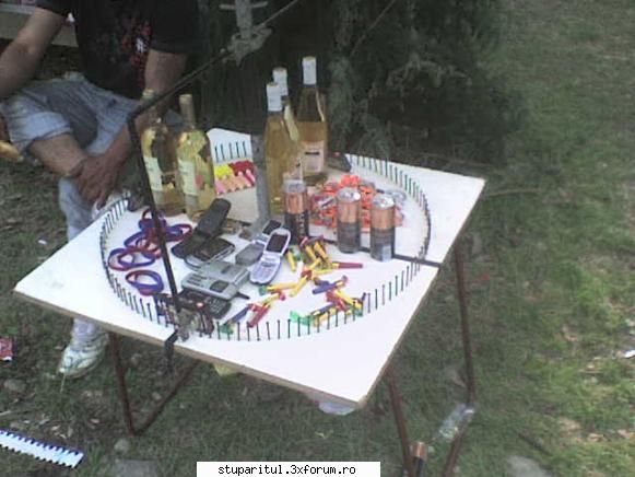 Nordul Olteniei - uitasem,roata norocului pentru adulti.Era si - JURNAL DE APICULTOR - JURNALE PERSONALE