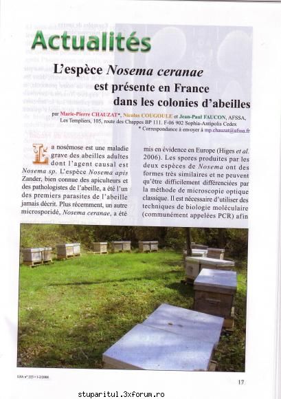 Nosemoza - Dlor, Acum cind Nosemoza a inceput sa - BOLI SI DAUNATORI - TRATAMENTE