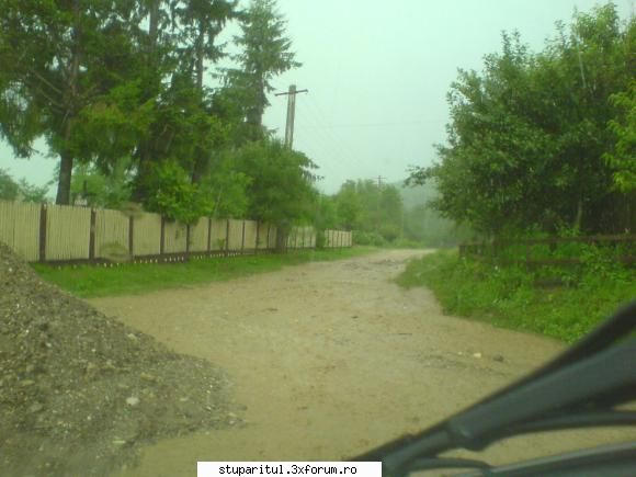 Noua mea stupina balanescuadrian - 15.ploaie.. si drumuri cu apa...in - PAGINI PERSONALE ! CINE SUNT EU ?