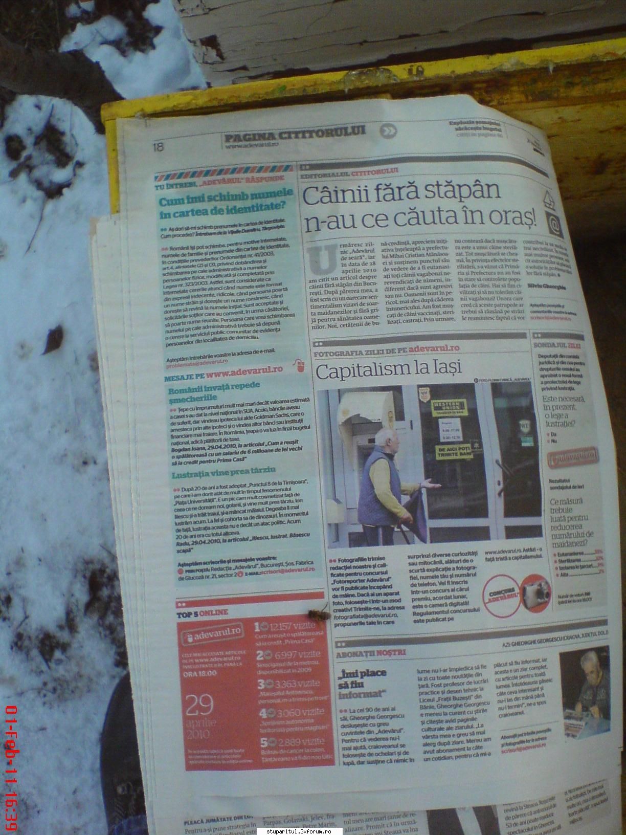 Noua mea stupina balanescuadrian - balanescuadrian - PAGINI PERSONALE ! CINE SUNT EU ?