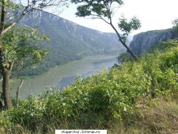 O indrumare - nicus - CALATORII SI INTALNIRI