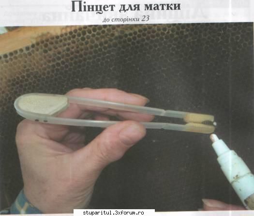 Ochire matca - Un clestisor de imobilizat matci.La capat are - INTRETINEREA ALBINELOR