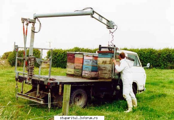 Paletizarea si incarcarea stupilor - Nati-o franta ca ti-am dreso...Ha ,ha - ECHIPAMENTE SI UTILAJE APICOLE