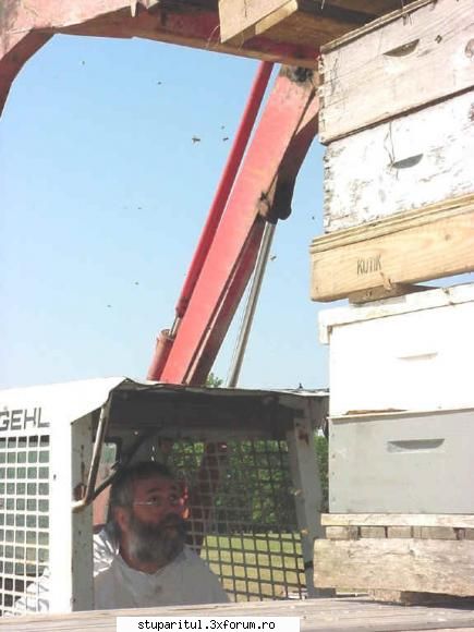 Paletizarea si incarcarea stupilor - iaca radu...se poate si asa...si chiar - ECHIPAMENTE SI UTILAJE APICOLE