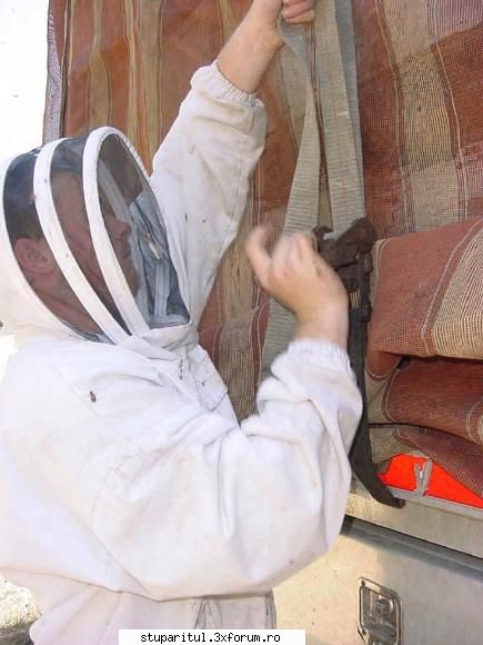 Paletizarea si incarcarea stupilor - BUNKA - ECHIPAMENTE SI UTILAJE APICOLE
