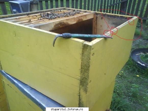 Paletizarea si incarcarea stupilor - Si uite pe unde patrunde/intra apa in - ECHIPAMENTE SI UTILAJE APICOLE
