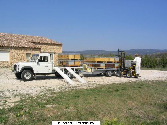 Paletizarea si incarcarea stupilor - radudulau - ECHIPAMENTE SI UTILAJE APICOLE