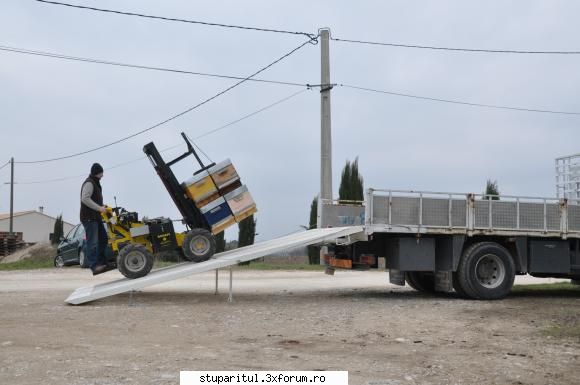 Paletizarea si incarcarea stupilor - radudulau - ECHIPAMENTE SI UTILAJE APICOLE