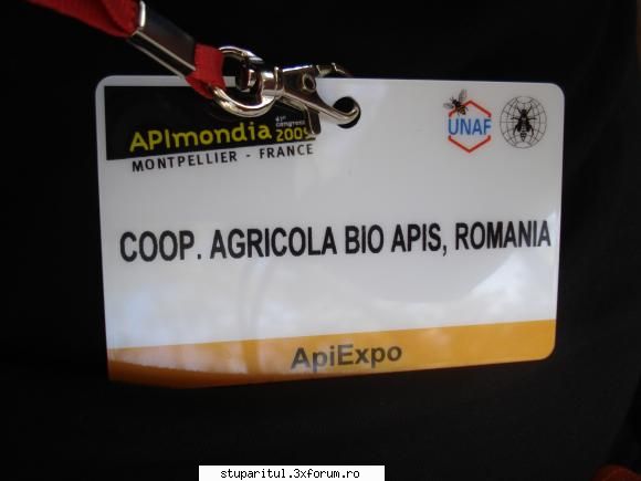 Paletizarea si incarcarea stupilor - ecusonul meu de anul trecut. cum eram - ECHIPAMENTE SI UTILAJE APICOLE