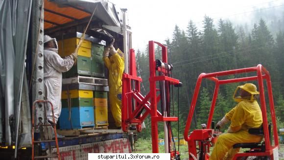 Paletizarea si incarcarea stupilor - Lucrati cu un motostivuitor in Romania - ECHIPAMENTE SI UTILAJE APICOLE