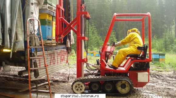 Paletizarea si incarcarea stupilor - Din albumul dv foto deduc ca nu tineti - ECHIPAMENTE SI UTILAJE APICOLE