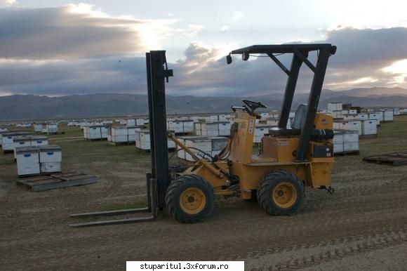 Paletizarea si incarcarea stupilor 2 - si ceva mai serios - ECHIPAMENTE SI UTILAJE APICOLE