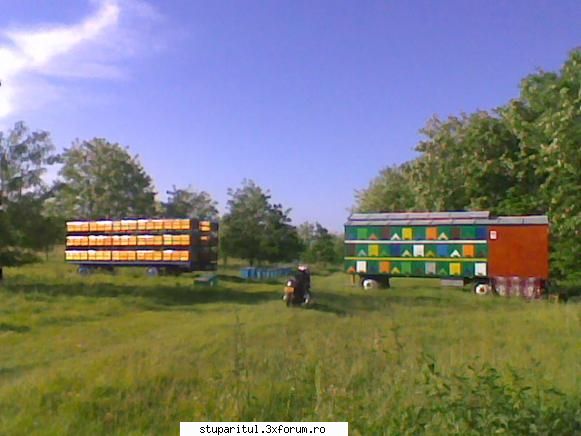 Pastoral salcam 1 - valy gudas - POZE