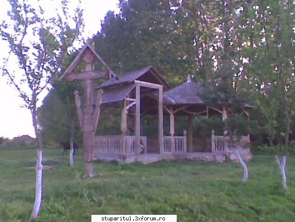 Pastoral salcam 1 - Lucruri frumoase in locuri de vis - POZE
