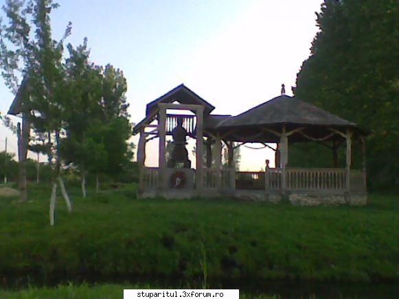 Pastoral salcam 1 - valy gudas - POZE