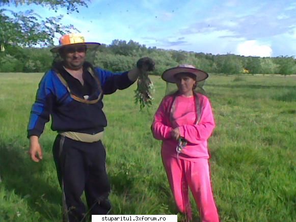 Pastoral salcam 1 - Prieteni mei proprietari pavilioanelor - POZE