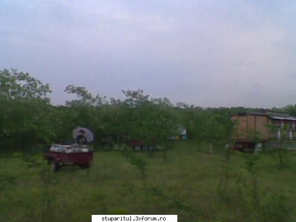 Pastoral salcam 1 - valy gudas - POZE