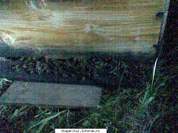 Pastoral salcam 1 - Seara la urdinis"la taclale" - POZE