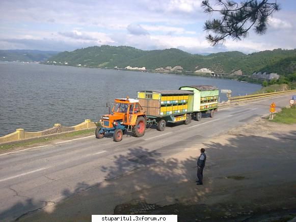 Pavilioanele mele - Buna ziua,sunt nou pe forum si vreau sa va trimit - POZE