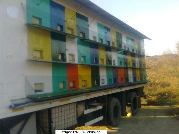 Pavilionul meu - si partea care nu am terminato =( =( =( - POZE