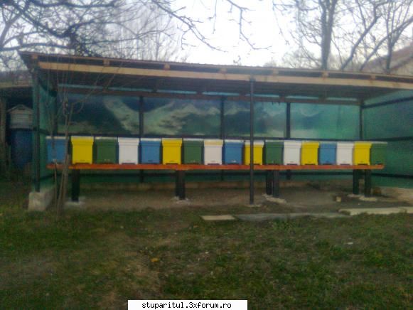 Pavilionul meu - si mica stupina o miniiatura fata de cea a lui - POZE