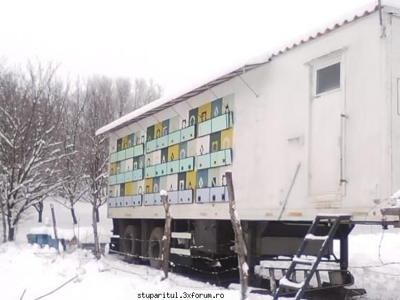 Pavilionul meu - In asteptarea lui Mos Craciun - POZE