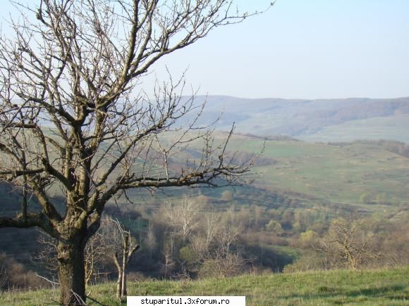 Pe langa Piatra Neamt - Ceva poze din primul an de pastoral si de - POZE