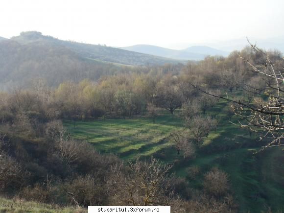 Pe langa Piatra Neamt - kmkm - POZE