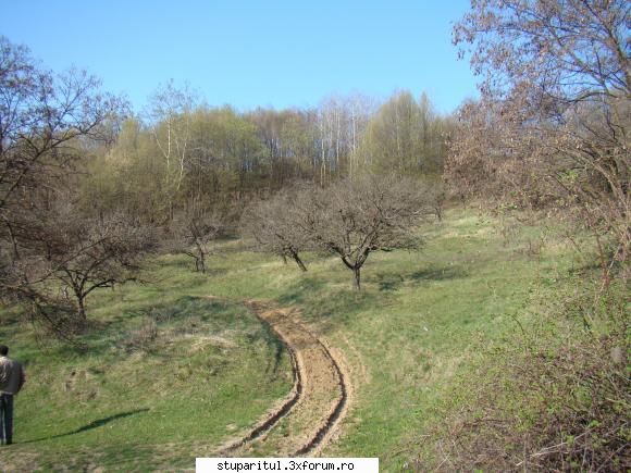 Pe langa Piatra Neamt - kmkm - POZE