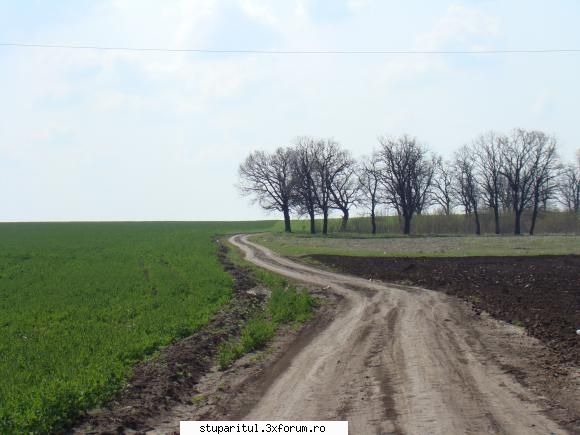 Pe langa Piatra Neamt - kmkm - POZE