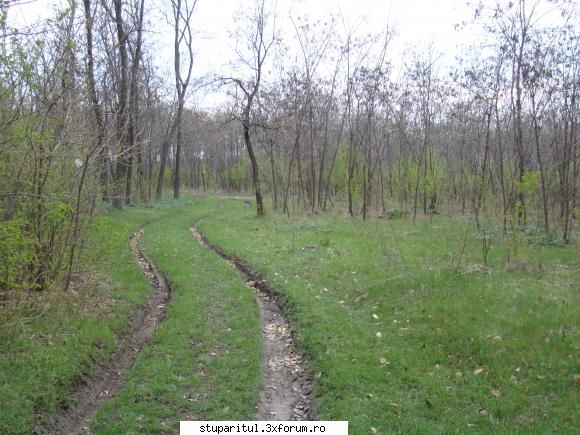 Pe langa Piatra Neamt - kmkm - POZE