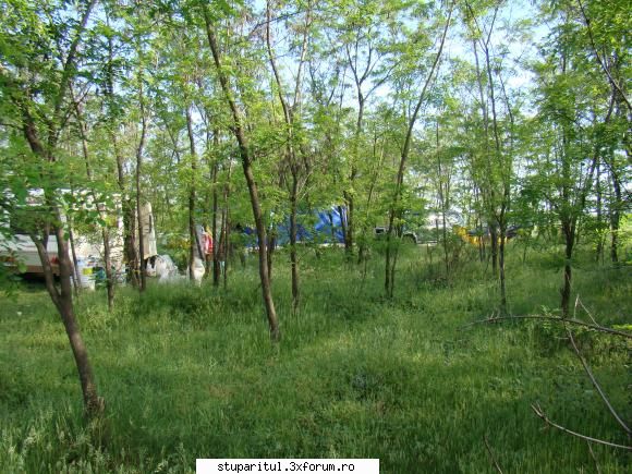 Pe langa Piatra Neamt - kmkm - POZE