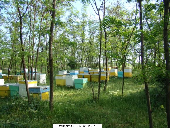 Pe langa Piatra Neamt - kmkm - POZE
