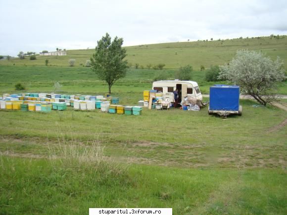 Pe langa Piatra Neamt - kmkm - POZE