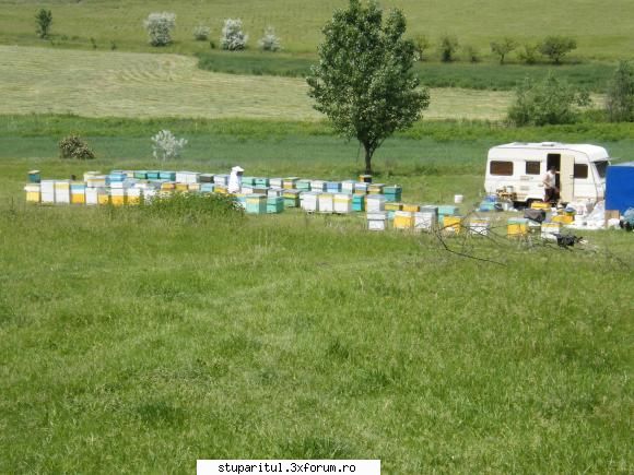Pe langa Piatra Neamt - Si tot poze din primul an de ucenicie - POZE