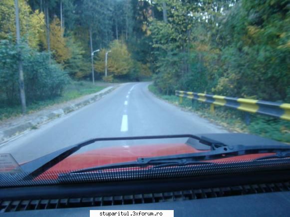 Pe langa Piatra Neamt - Prin padurile de pe langa oras - POZE