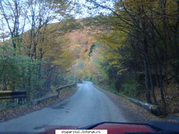 Pe langa Piatra Neamt - kmkm - POZE